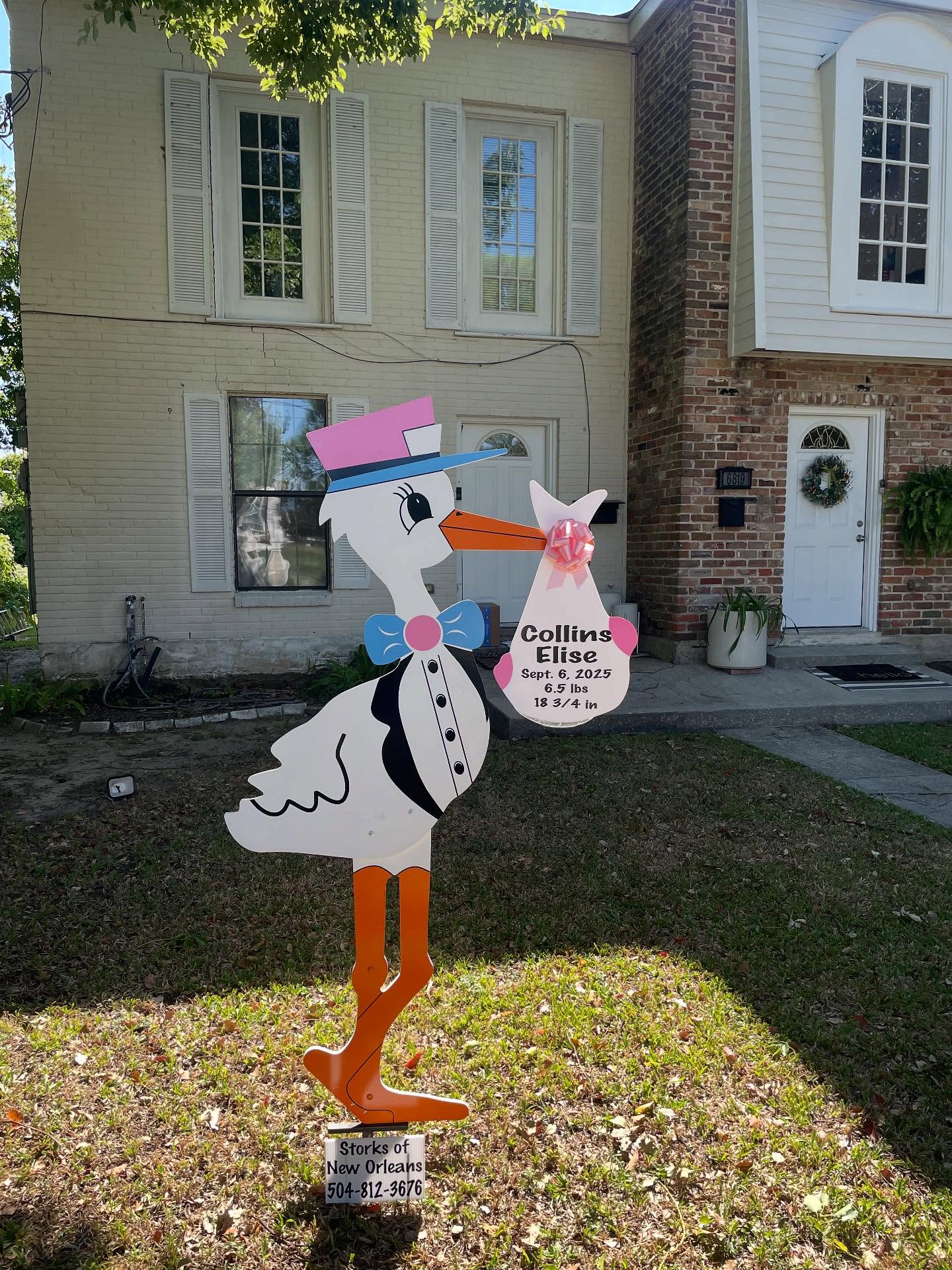 Birth Announcement Sign in Lakeview
